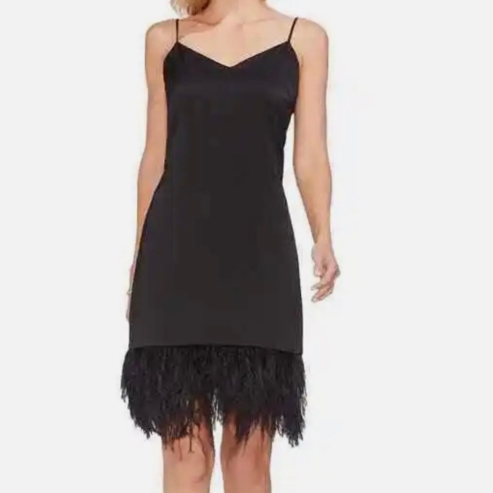 Vince camuto feather trim dress